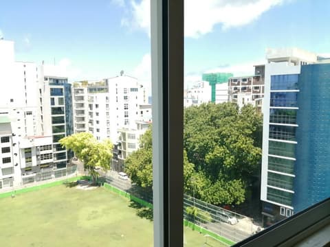 The Grand View
