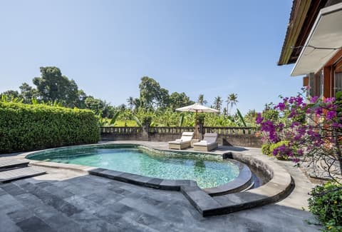 Swan Paradise A Pramana Experience