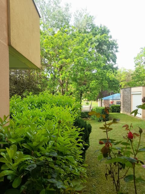 Peace Home, Park view