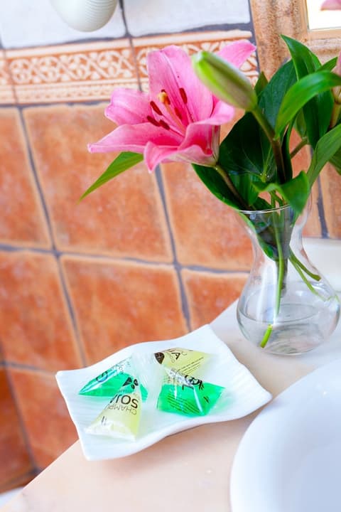 Hotel Medina de Toledo