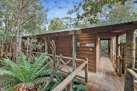 Cradle Forest Inn, Room