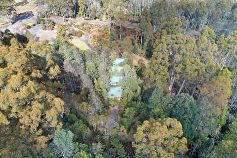 Cradle Forest Inn, Property grounds