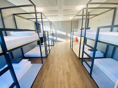 Bus Hostel Reykjavik