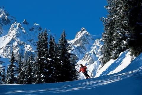 Les Suites de la Potinière