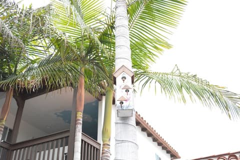 Sunset Motel, Garden