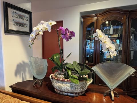 Tide Pool Villas, Reception