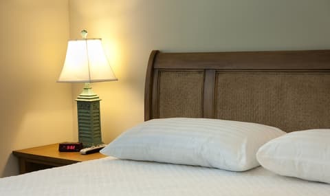 Dolphin Cove - Adults Only, Room