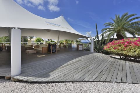 Chogogo Dive & Beach Resort Curacao