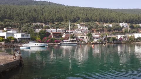 Zena Hotel Bodrum