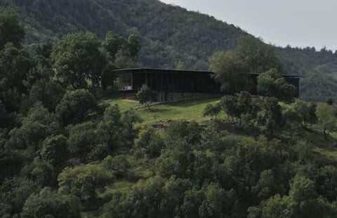 Vik Chile