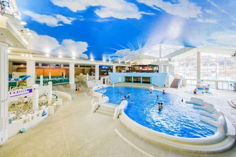 Hakone Kowakien, Pool