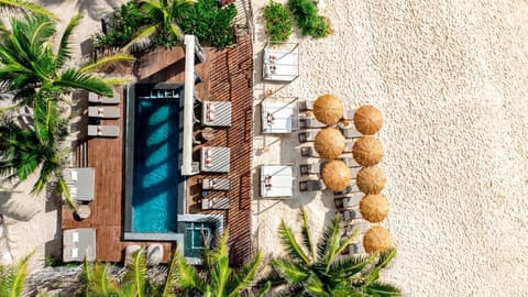 Secrets Tulum Resort & Beach Club - Adults Only - All Inclusive, Outdoor pool