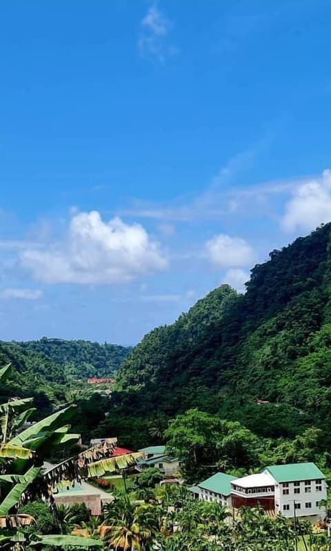 Villa Copthall, Aerial view