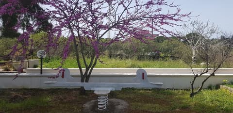 Stella del Sud Guesthouse