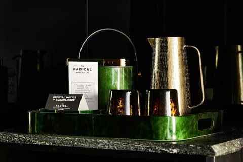 The Radical Asheville, Tapestry Collection by Hilton