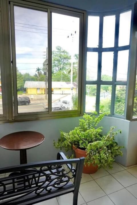 Palau Paradise Comfort