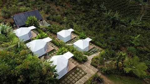 Alam Kita Glamping & Plantation