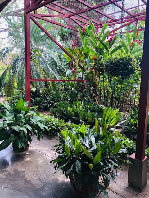 Hotel Del Aserradero, Garden