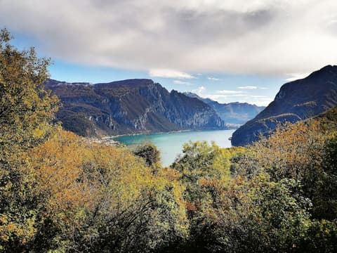 Narciso B&B Valbrona
