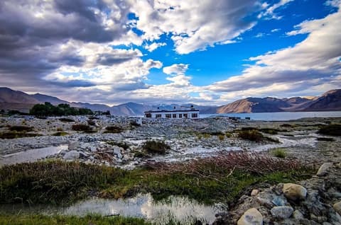 Pangong Nest Cottage
