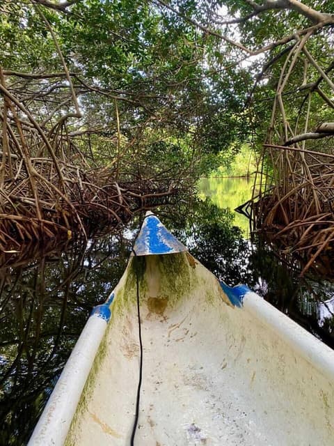 Eco Hotel bosque encantado