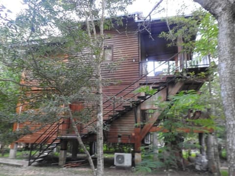 wilpattu Tree House