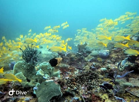 Carpe Diem Villas & Resort