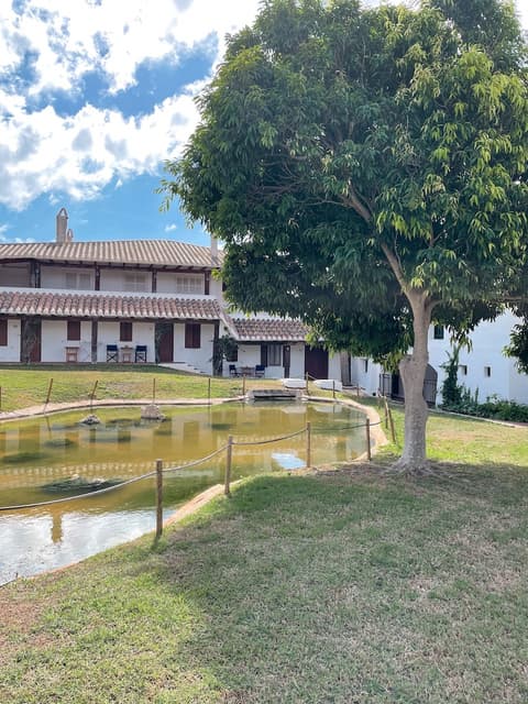 Binivell Park - 30º apartments, Garden