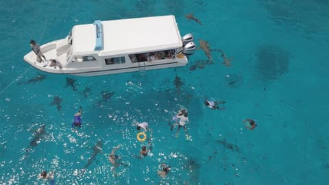 Ocean Pearl Maldives