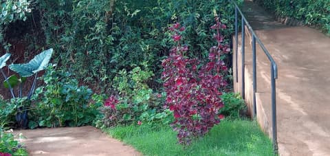 Karatu safari Camp Lodge, Room