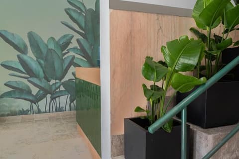 Succeed Campo Pequeno Suites