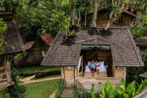 Roots Tree House