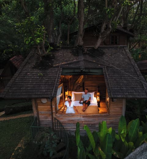 Roots Tree House