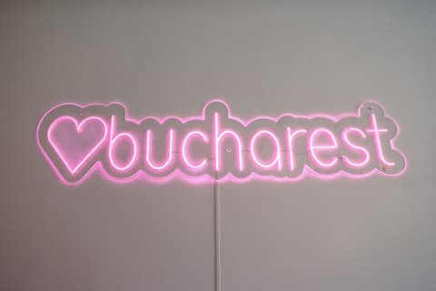 First Hostel Bucur 21, Reception