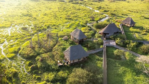 Little Okavango Camp