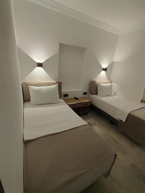 The Professor's Hotel