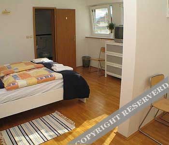 Pension Bled BB&Hostel, 