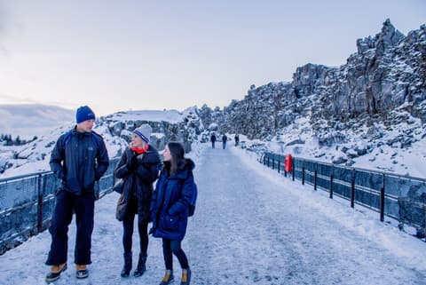 Iceland's Classic Northern Lights