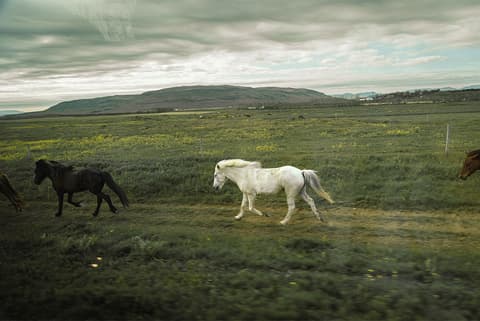 Six Days in Iceland