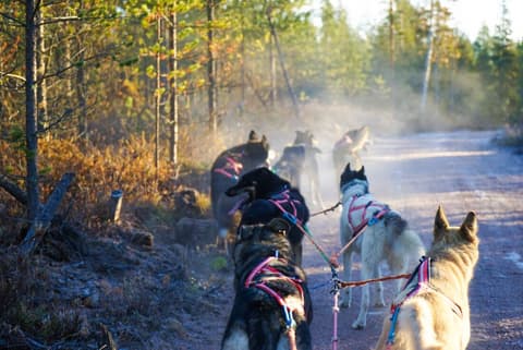 Finland Family Holiday