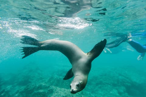Ecuador, Galapagos & Peru Explorer