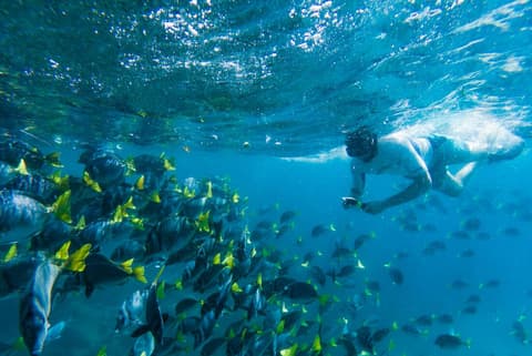 Galapagos Cruise & Peru’s Land of the Incas (Grand Daphne)