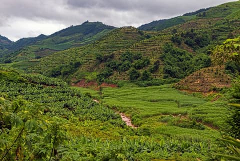 China & Laos: Kunming to Bangkok by Rail