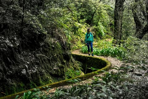 Premium Walking & Hiking in Madeira