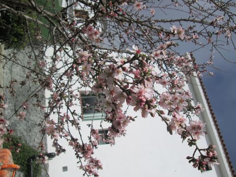 La Palma Hostel - Pensión Central