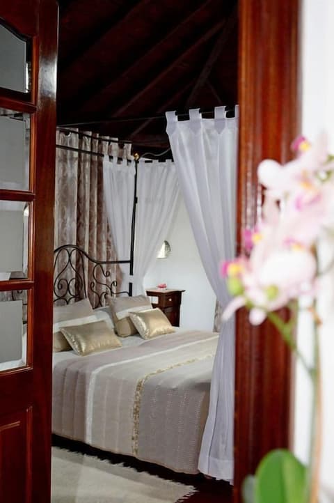 Hotel Drago San Antonio, 