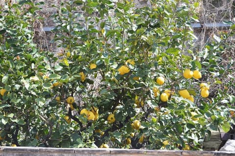 Hotel Palazzo Krataiis, 