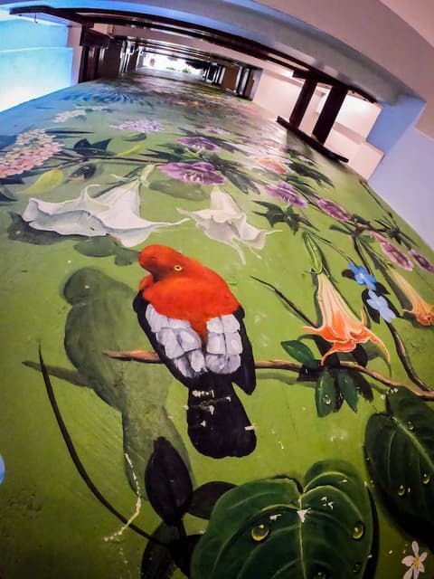 Machu Picchu Adventure House