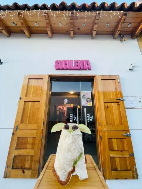 Suculenta Hotel Boutique