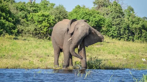 Botswana & Victoria Falls Adventure